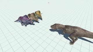 EVERY COLOR TRICERATOPS VS UNITS Animal Revolt Battle Simulator