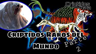 Criptozoología | LOS 5 CRIPTIDOS MÁS EXTRAÑOS DEL MUNDO | Parte 2 | Criptidos A LA Vista