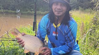 Mancing Harian 06 April 2024 #gmm #mancingmania #kabupatenmamasa #breakingnews