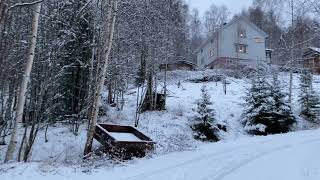 Walking up our snowy, just over 200 meter-long driveway