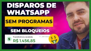 Como fazer campanhas através do WhatsApp de forma automática sem programas instalados (Novidade)