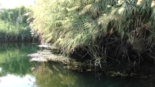 Small motor boat cruise into the 1st cataract South of Aswan Egypt