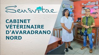 Le cabinet vétérinaire d'Avaradrano Nord