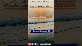 Surah Baqara Ayat 27 #shorts #ytshorts #youtubeshorts #islamforpeace11 #whatsappstatus #islam #quran