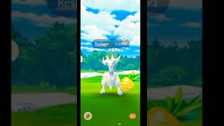 Caughting For New   "Raid" Pokemon #Reshiram  #Dragontype Best Powerful pokemon #pokemongo #short