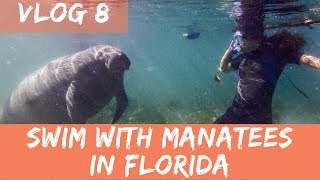 Swim with Manatees at Crystal River Florida