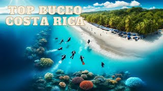 Top 10 Mejores Lugares de Costa Rica Para Practicar Buceo