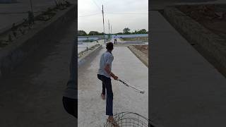 Cricket Shot 🏏 #cricketshorts #cricketlover #cricketshort #shorrsvideo #shortsviral #trendingshorts