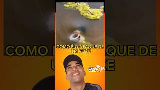 ATAQUE DO PEIXE #memes #fishing