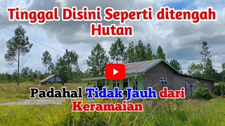 🔴 Seperti Terpelosok Padahal Desa ini Dekat Keramaian ‼️Lumban Ina ina Kec.Pagaran..