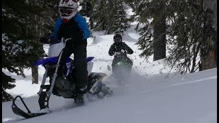 110cc Bikes in the Snow - Timbersled