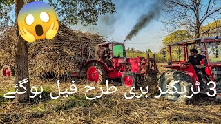 MF 240 vs Belarus 510 Tractors || Pulling Competition || Three Tractor Fail with Bedly Stuck Trolley