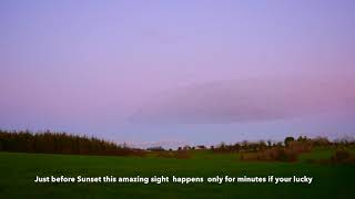 Amazing Murmuration of Starlings in Co  Wexford ,Ireland