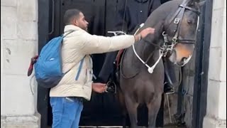 The tourist tries to touch the royal horse 😱