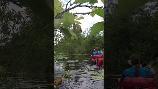 So kann man auch über das Wasser wandern