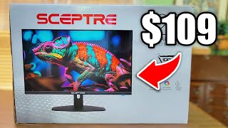 Is this Budget Gaming Monitor Worth it? - Sceptre E275W-FW100T