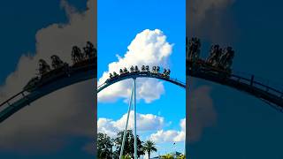 Scariest Ride in #seaworld #rollercoaster #shorts #travel #fun