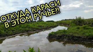 ОТКУДА КАРАСИ В ЭТОМ РУЧЬЕ?! Ловля карася на поплавочную удочку.