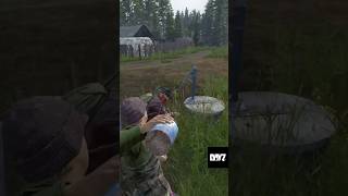 Dayz Falcon Punch #dayz #dayzstandalone