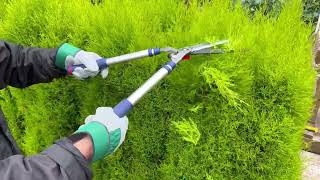 Razorsharp Telescopic Hedge Shears