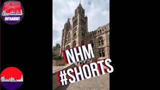 Natural History Museum #Shorts