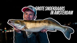 VISSEN OP GROTE SNOEKBAARS IN AMSTERDAM?!