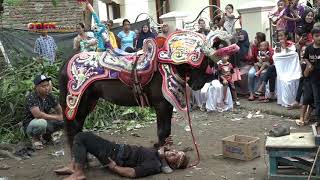 ATRAKSI KUDA RENGGONG SUMEDANG | KUDA SILAT| HORSE ATTRACTION