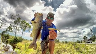 How to catch giant bass using the Gambler Lure EZ swimmer- Topwater !