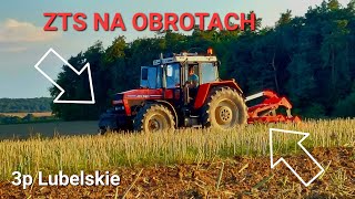 ☆ZTS 16245 z dźwiękiem !!! ☆Talerzowanie rzepaczyska 2022☆ Grano System ☆