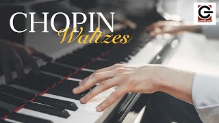 Chopin Waltzes