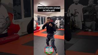 Mahmud Muradov 21-sentyabr kuni oktagonga ko’tariladi🔥 #shorts #ufc #mma #uzb #uzbekistan