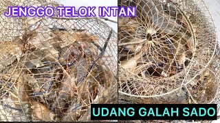 PAT 2 MANCING UDANG GALAH BATAK RABIT TELOK INTAN