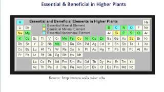 Aronomy 1 ALM110 Lecture 8