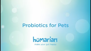 Probiotics for Pets