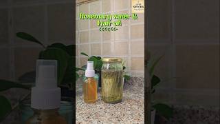 Rosemary water& Hair oil home made.Best for Hair growth  #shortsfeed #shorts #rosemary #rosemaryoil