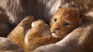 Leví kráľ (The Lion King) 2019 teaser trailer titulky