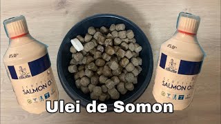 Uleiul de Somon-Tutorial folosire si beneficile acestuia