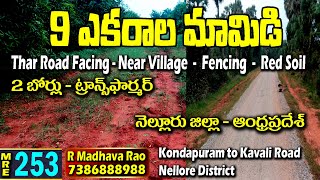 9 Acres Mango Farm Land For Sale - Nellore District - Medhanshi RealEstate - 7386888988 - MRE -253✌️