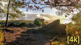 [4k] Brocéliande and its celtic legend... part1