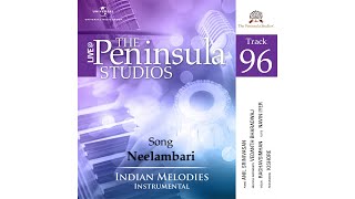 Neelambari | Spiritual | Instrumental | Anil Srinivasan | Vedant Bhardwaj | Indian Melodies