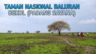 COBA JELAJAH PART I - Panorama Taman Nasional Baluran || Keindahan Savana Bekol