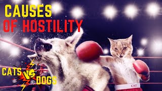 WHY DO CATS ENMITY WITH DOGS? - Chinese Legend About The Causes - With Tom&Jerry Cartoon