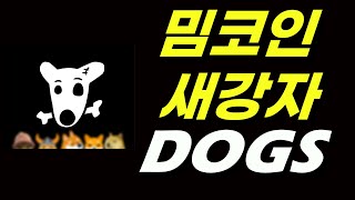 DOGS코인이란 무엇일까요