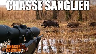 Chasse sanglier - Grandes Battues 2014