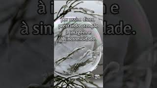 O processo de psiquização #audiobook #audiolivro #psicologia #Jung