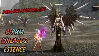 Lineage 2 Essence стрим! Кач Жреца Шилен 90 уровень! Розыгрыш промокодов!