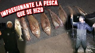 Increíble pesca de CORVINAS de costa 🌊🎣🐟//Las Toscas,Canelones,Uruguay 🇺🇾//Entre cañas y aparejos 🎣