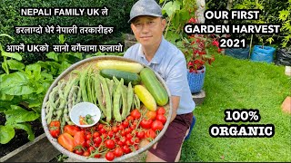 Nepali Vegetable Harvest | Garden Harvest Compilation | Small Backyard Harvest | FIRST HARVEST 2021