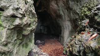 Wanderung bei Hirschbach | Oberpfalz