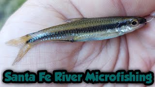 Microfishing the Santa Fe River